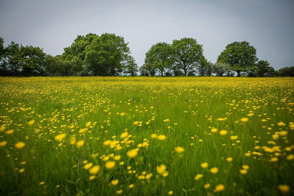 Frasers Egerton  ภายนอก รูปภาพ