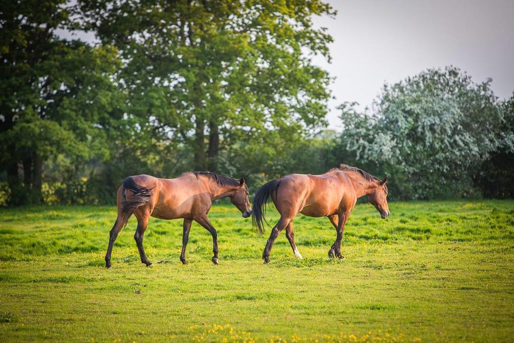 Frasers Egerton  ภายนอก รูปภาพ